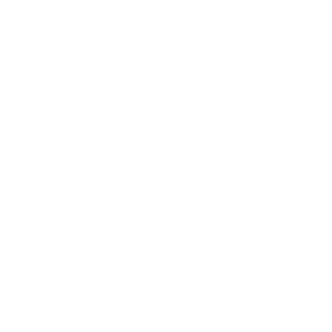 Company-logo-25
